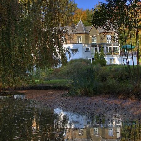 Parkhotel Villa Des Effats ヴィエルサルム エクステリア 写真